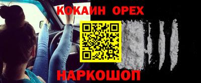 шишки Брянск