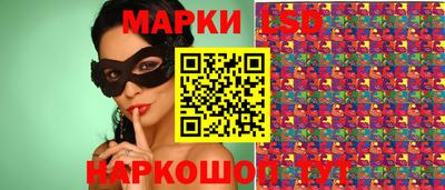 шишки Брянск